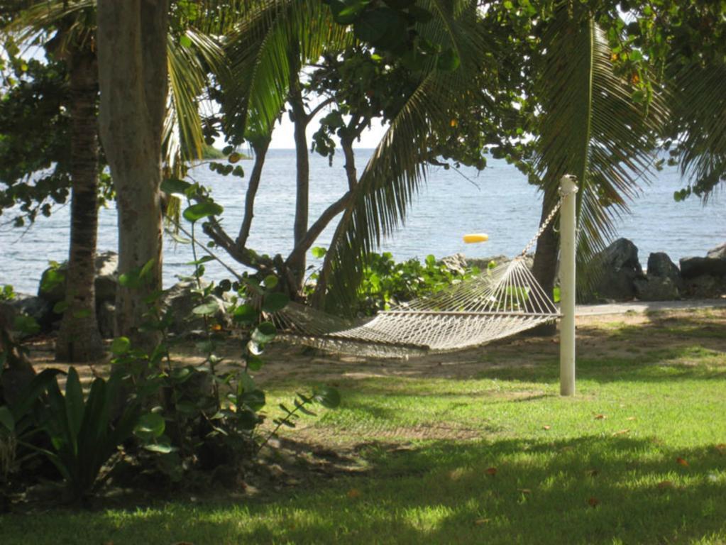 Tamarind Reef Resort Spa & Marina Christiansted Zewnętrze zdjęcie