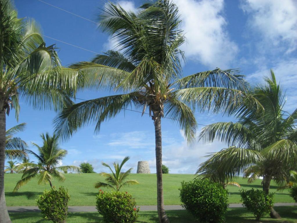 Tamarind Reef Resort Spa & Marina Christiansted Zewnętrze zdjęcie