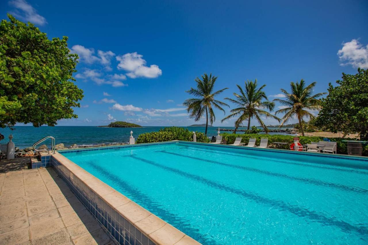 Tamarind Reef Resort Spa & Marina Christiansted Zewnętrze zdjęcie