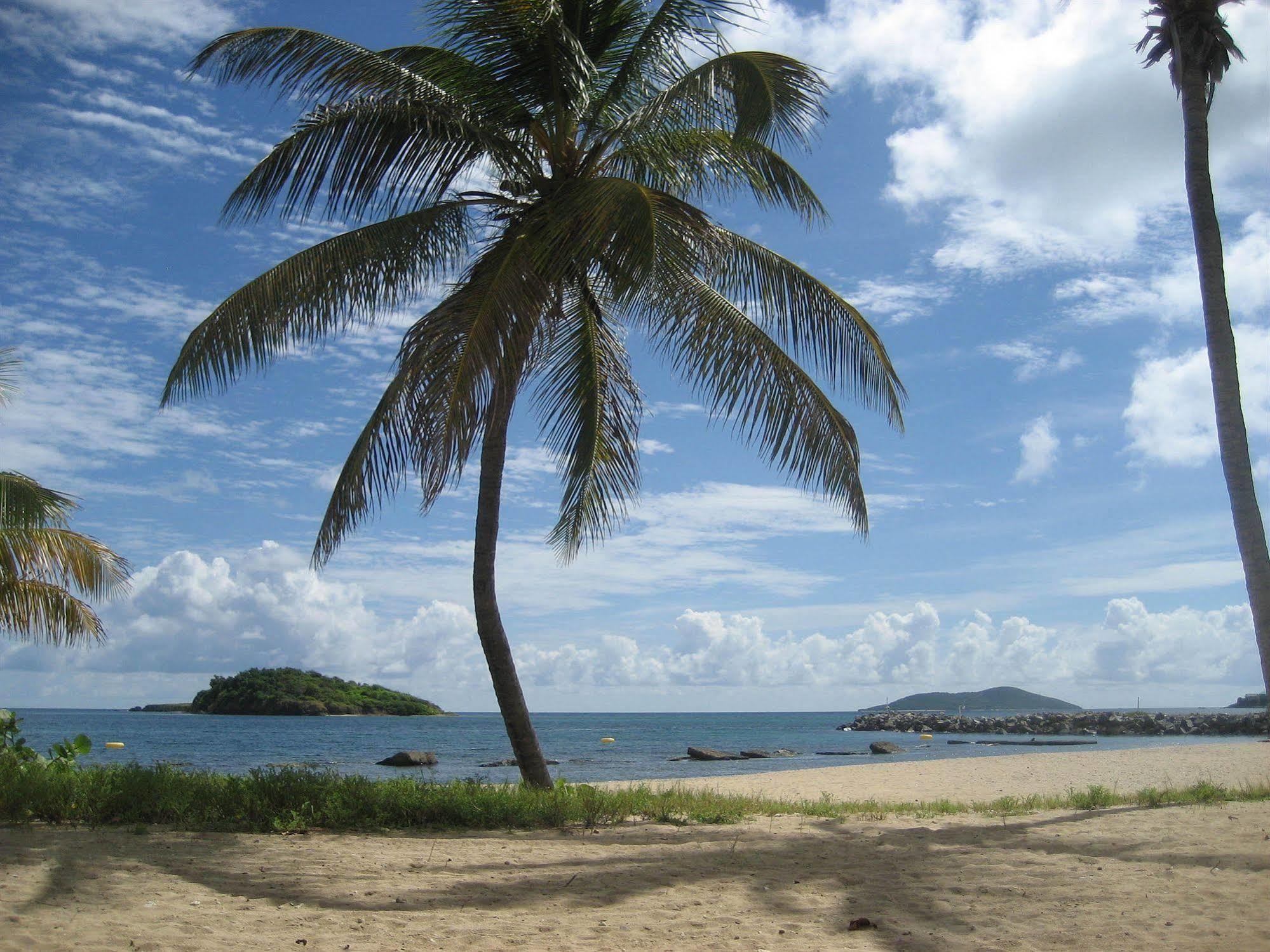 Tamarind Reef Resort Spa & Marina Christiansted Zewnętrze zdjęcie