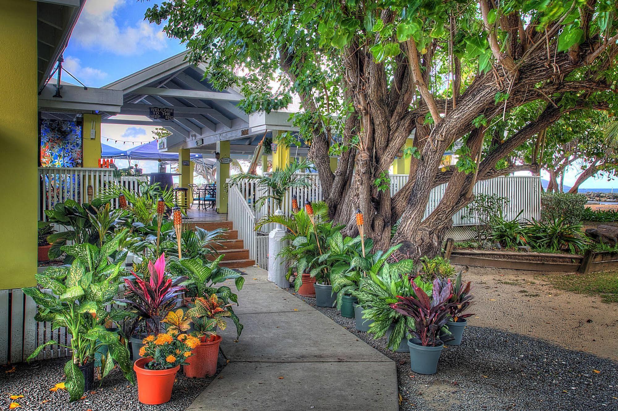 Tamarind Reef Resort Spa & Marina Christiansted Zewnętrze zdjęcie